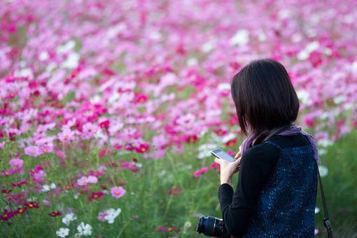 让我们一起告别便秘困扰吧！