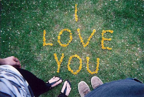 七月苦味菜走俏