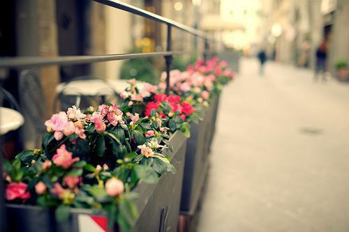 十二种食物预防猝死