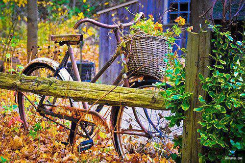 护眼只补充维生素A远远不够