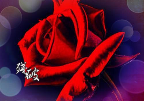 芋头营养高 能防癌养颜