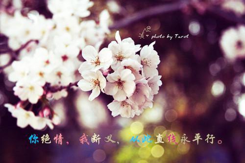 比钙片强10倍的五种家常菜   春天要常吃！