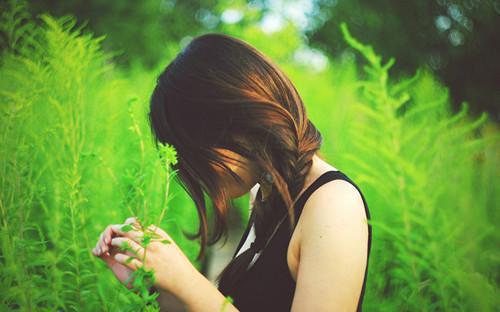 托盘的药用价值