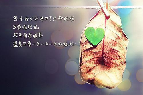 女人头发黄，多吃这些是关键