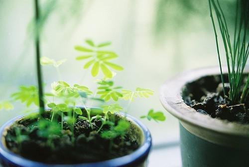 牛奶的10种喝法 BB越喝越伤身