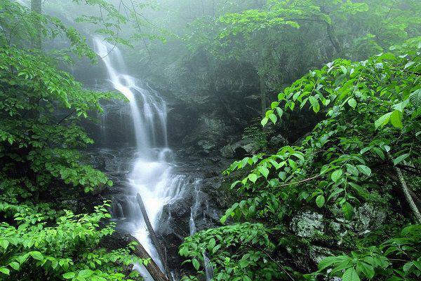 老人防白内障多吃菠菜甘蓝