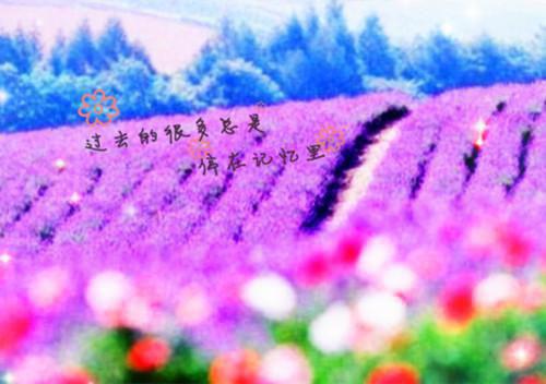 冬季养生汤不能随便喝，8个事项需注意