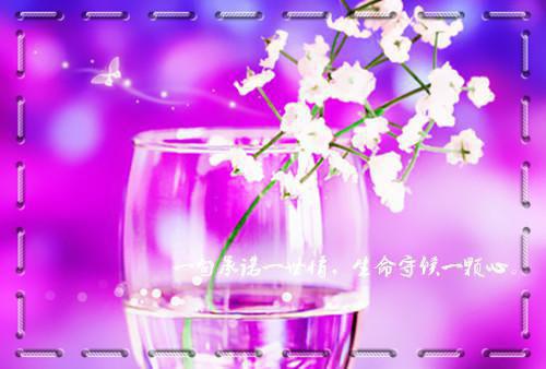 十种清热利湿食物