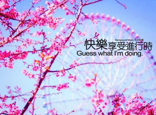 被忽视的补身中药女贞子