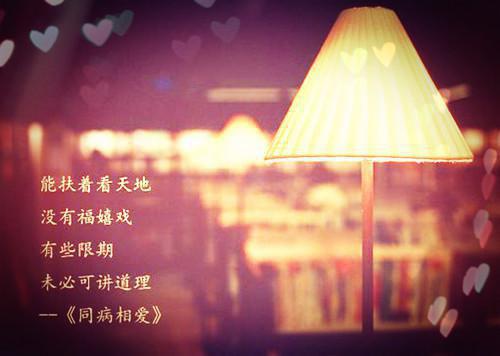 平菇营养价值剖析