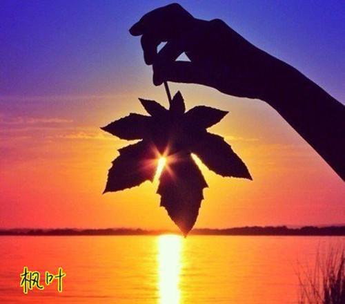 血脂异常的６个食疗方