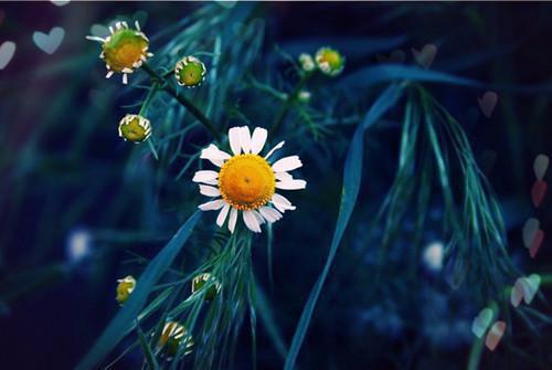 冬季进补 这样吃不怕胖