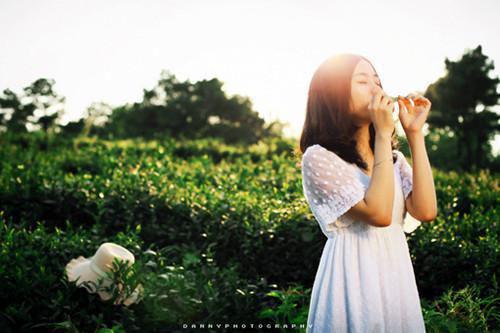 多吃番茄可防癌