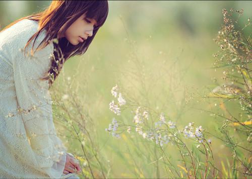 菊花粥羹可清心悦目祛燥