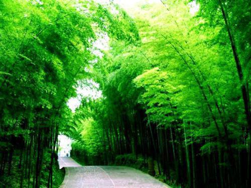 常喝可乐对身体伤害多大