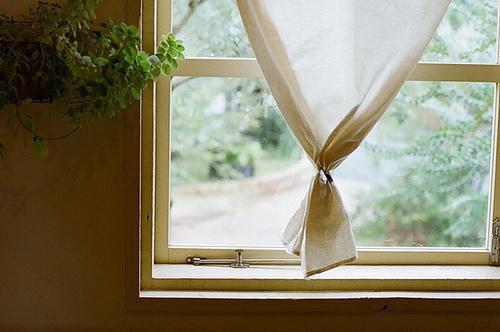 马兰头的药用价值