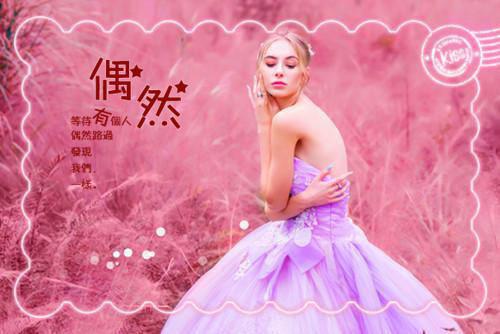 枸杞的多种食疗功效