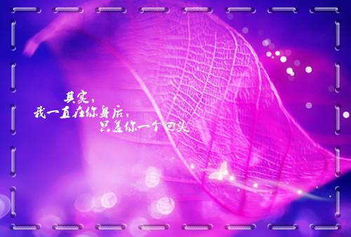 食用鸡汤能治疗感冒吗