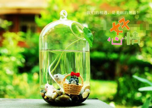 没那么难 产后催奶靠它们拯救