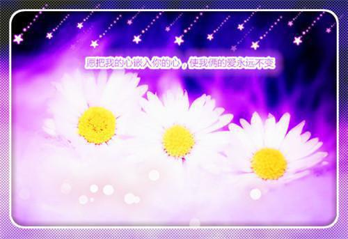 芒果的功效和作用