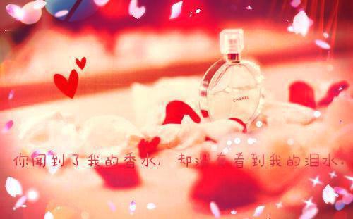 甘蓝或卷心菜可以防膀胱癌