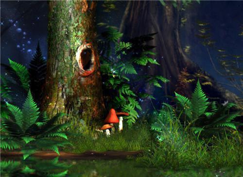 豆薯的营养价值分析