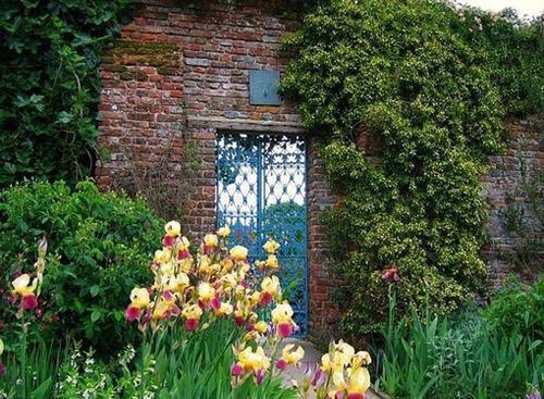 饮食补钙，多吃这5种食物