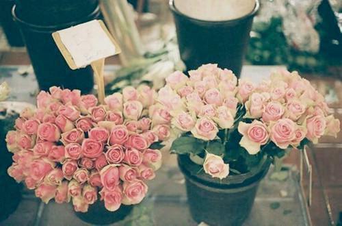 手脚冰凉的人，几款食谱帮您缓解