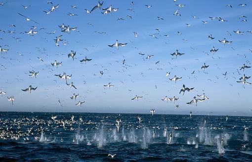 喝暖胃汤时，记得先看看自己的胃