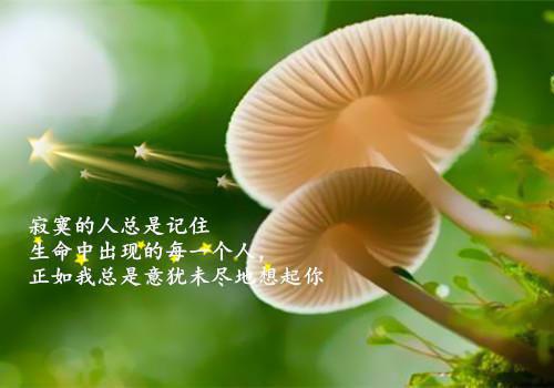 奶水不足怎么办？五招变“奶牛”