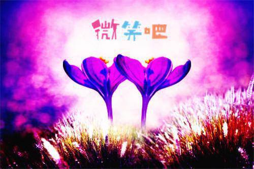 备孕期间补充叶酸的食谱大全