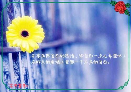 11种抗辐射食物还是护肤佳品