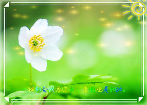 痛经太痛苦，吃什么能缓解痛经？