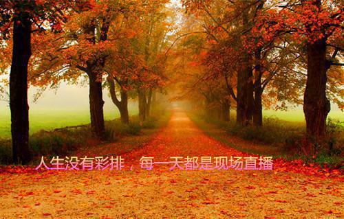 产后调补吃什么 简单易做有营养