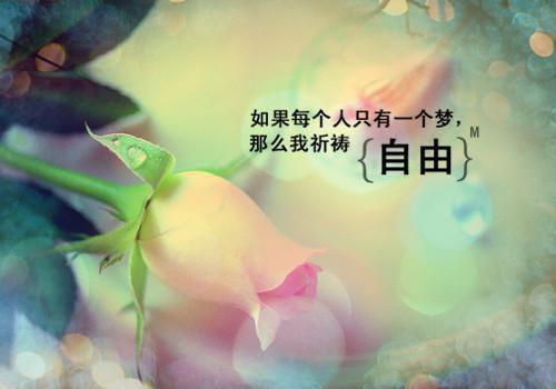 熬夜过后，适合你吃的水果