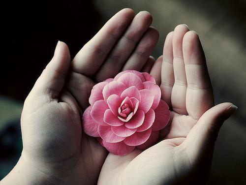 八种水果缓解便秘最有效