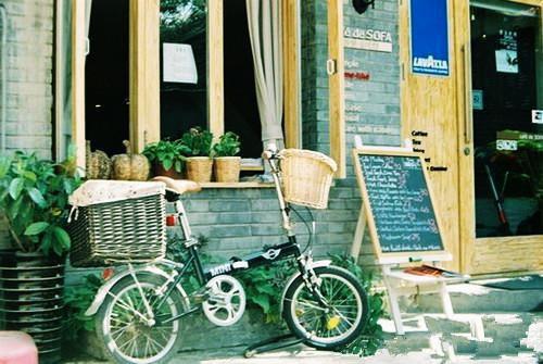 谁当之无愧的长寿菜