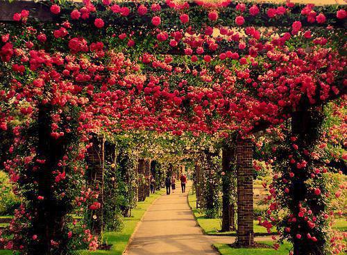 秋季7大滋补食物