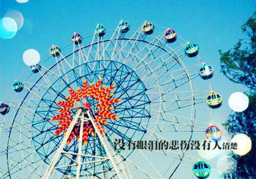 宝宝冬季吃它补脑 还能长身高