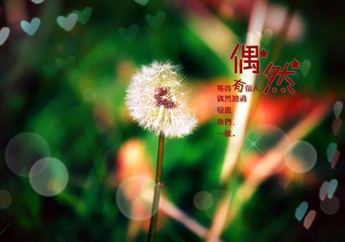5种食物易导胎儿畸形 孕妇禁食！