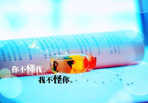 益气补血的食物 来试试红枣粥吧