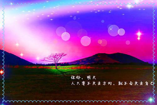 男性壮阳食品大观