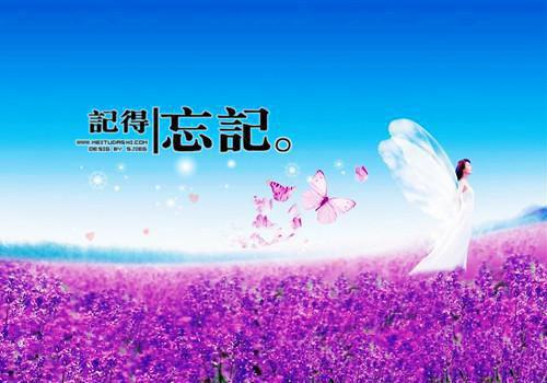 煮着吃更营养的5种水果