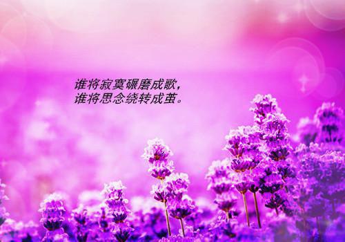 坐月子宜吃的食物有哪些