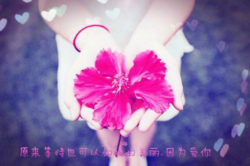 辣椒的营养与保健