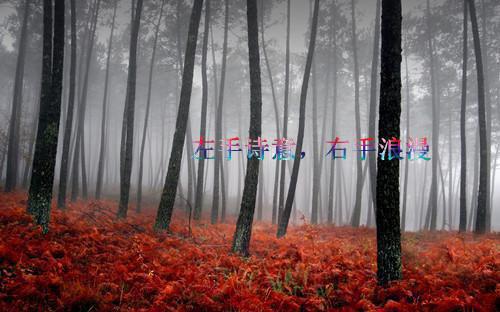 女人养颜，排毒很重要