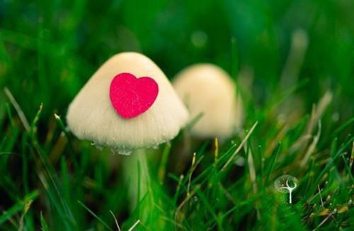 改变发质的7种食物