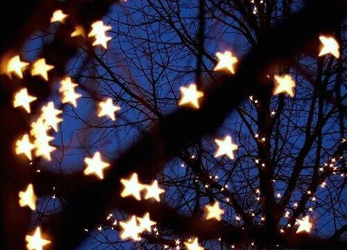 胭脂菜的药用价值