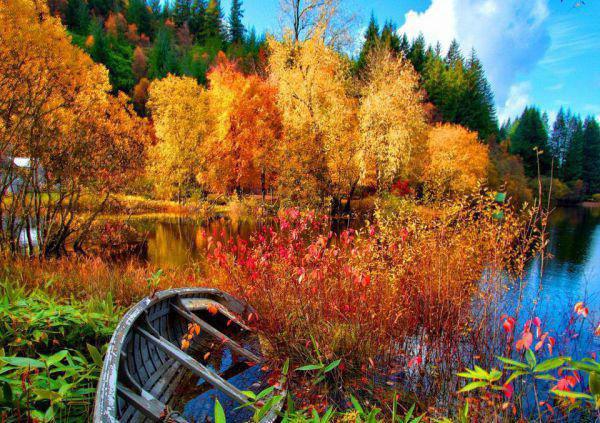 春节吃撑了 多吃5种食物帮助消化