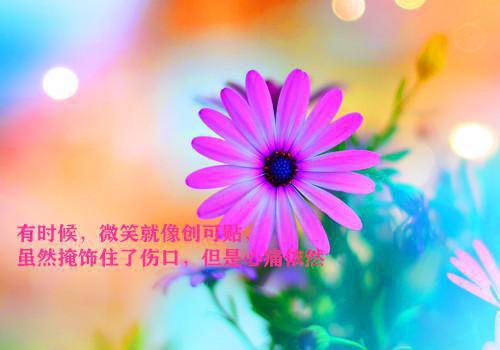 简单营养的5款汤，春天必喝